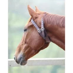 Shires Anti Crib Collar