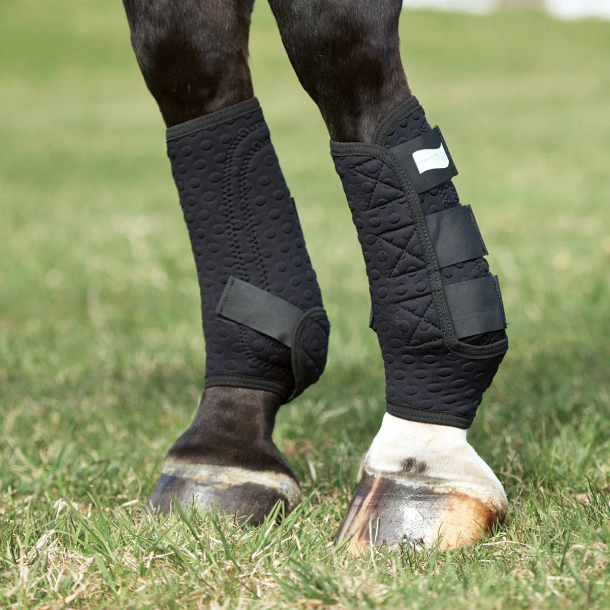 Equilibrium Stretch & Flex Training Wraps - Image 2