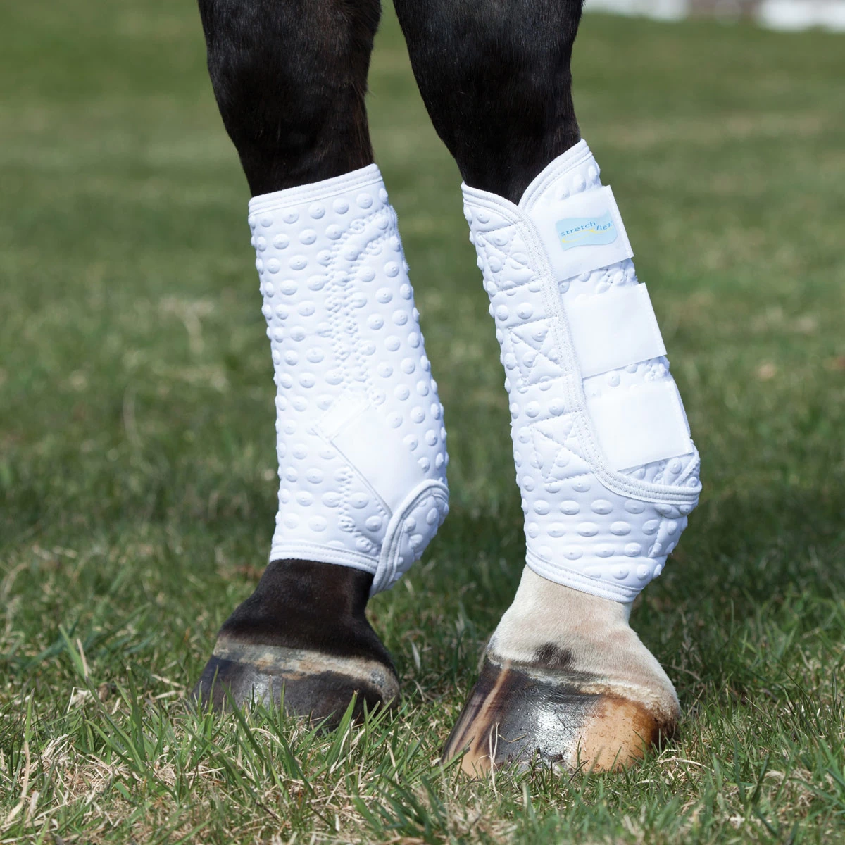 Equilibrium Stretch & Flex Training Wraps