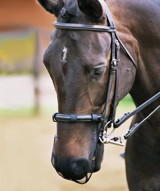 Equilibrium Net Relief Muzzle Net