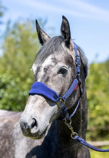 LeMieux Vogue Fleece Headcollar & Leadrope – Ink Blue / Navy