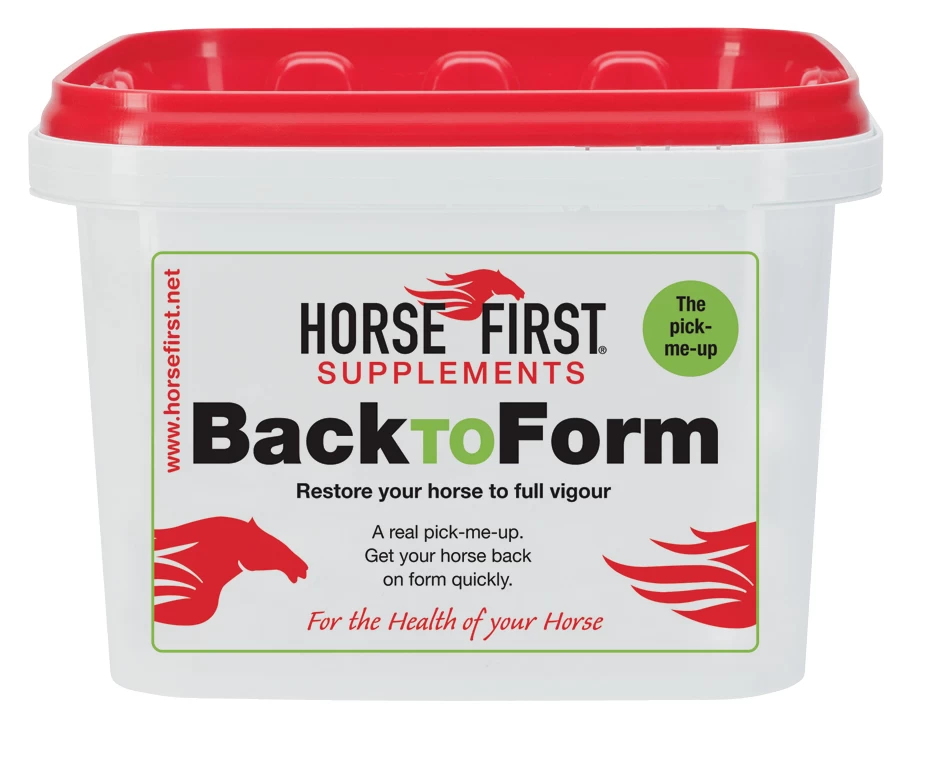 Horse First – Back To Form (Delivery Within Ireland Only) - Image 2