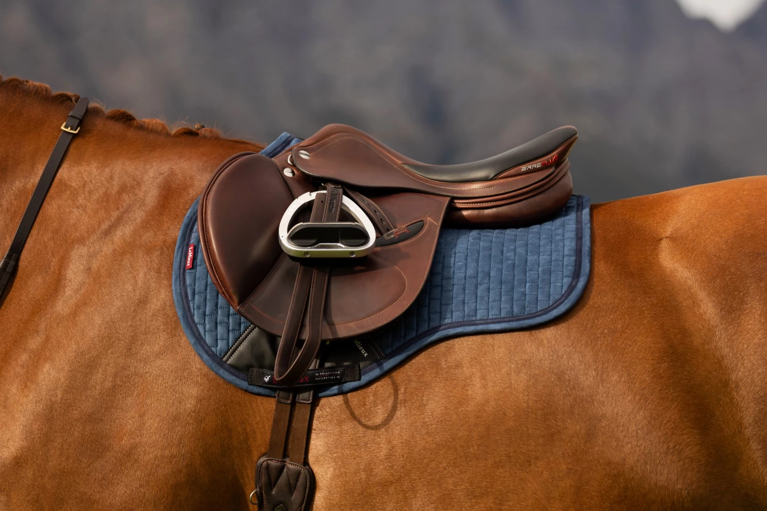 LeMieux GP Suede Square β Atlantic - Image 2