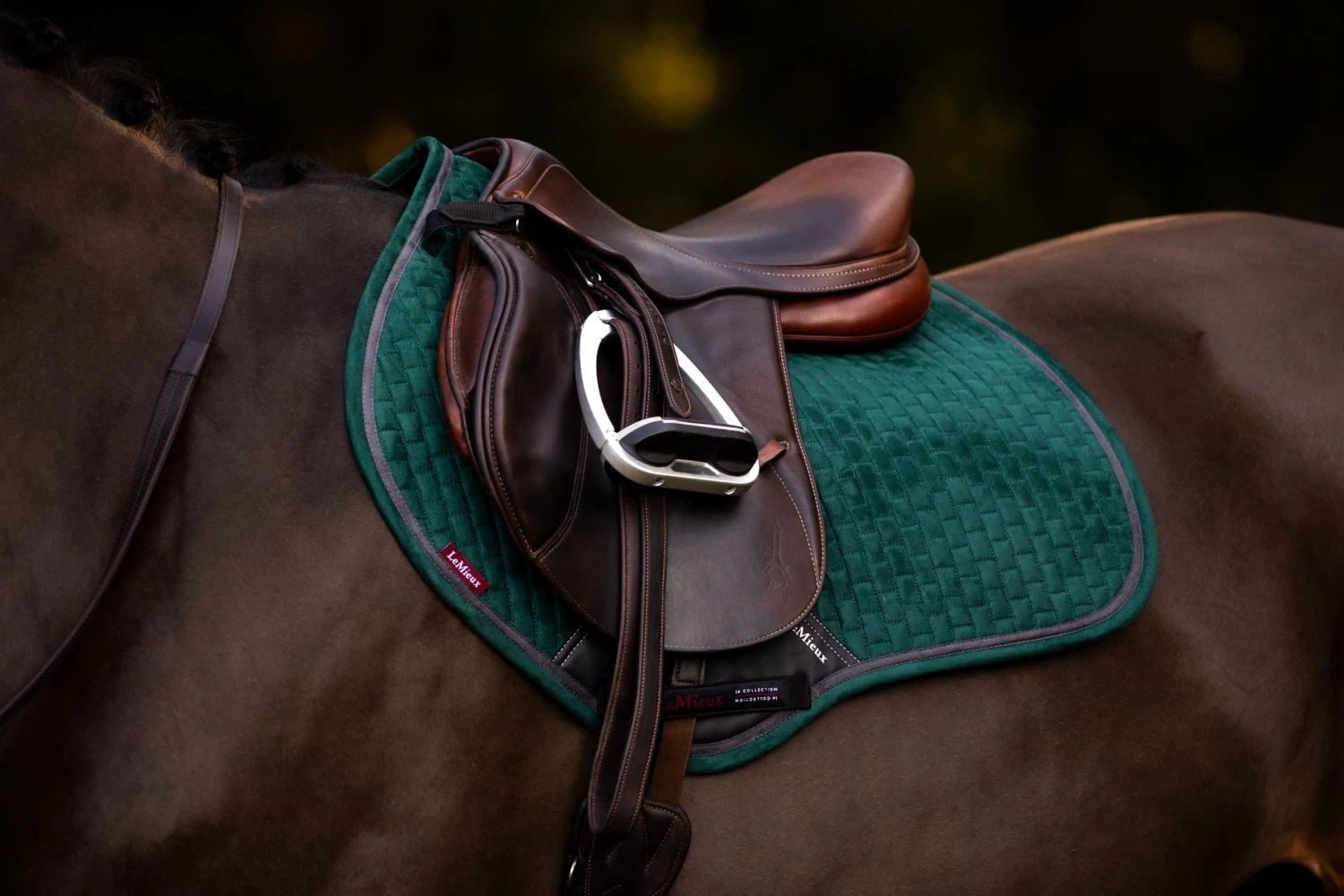 LeMieux Suede Close Contact Square – Spruce - Image 2