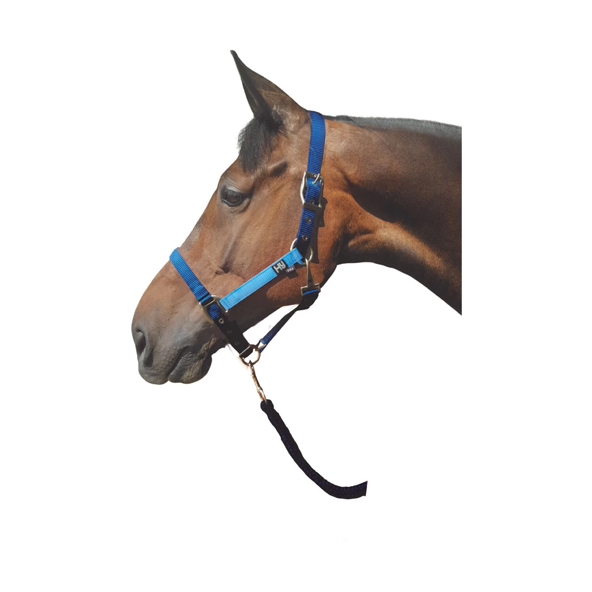 Hy Metallic Look HeadCollar