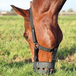 Shires Grazing Muzzle