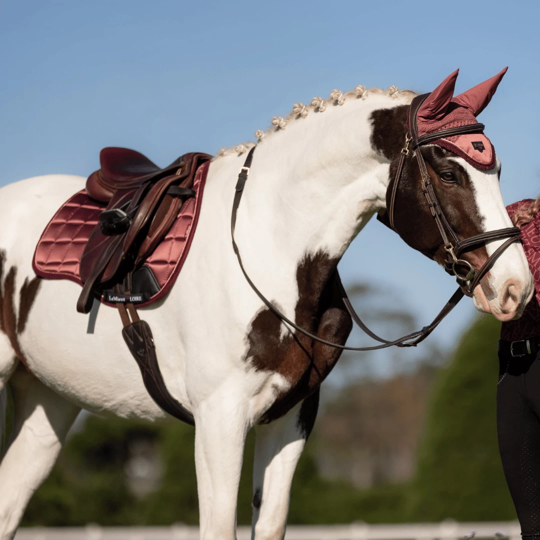 LeMieux Loire GP Square – Orchid - Image 2