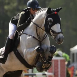 Fenwick’s Original Liquid Titanium Mask With Ears