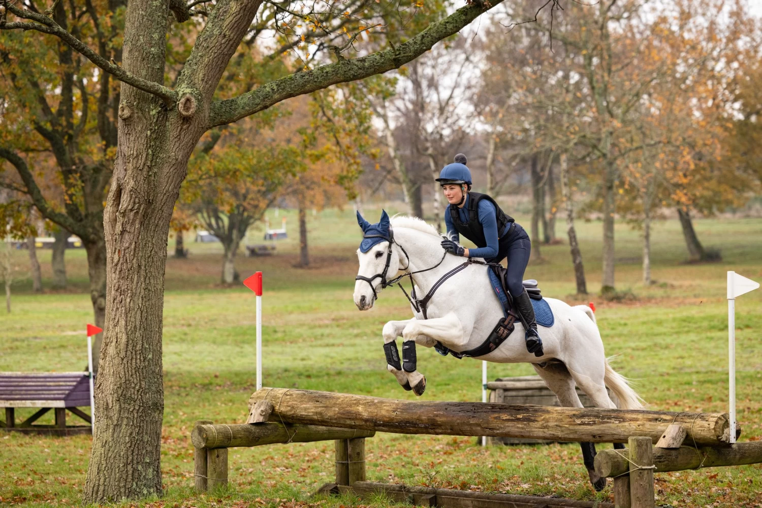 LeMieux Suede Close Contact Square – Atlantic - Image 2