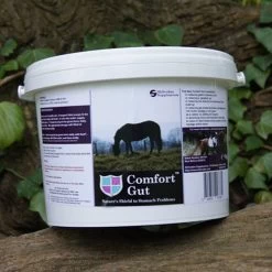 Comfort Gut (Delivery Within Ireland Only)