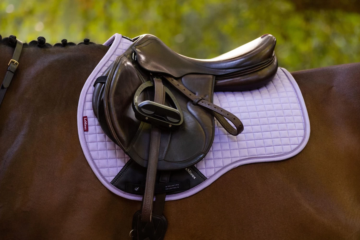 LeMieux GP Suede Square โ Wisteria - Image 2