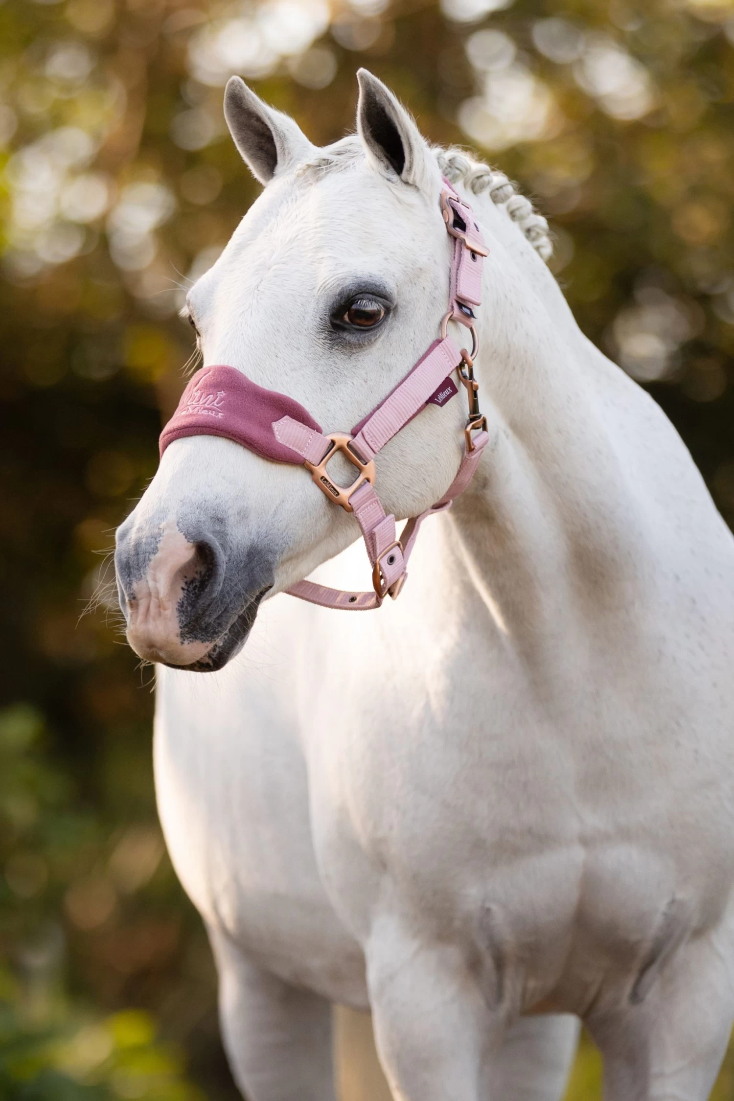 Le Mieux Mini Vogue Headcollar And Leadrope – Pink Quartz - Image 2
