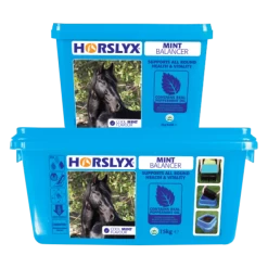 Horslyx – Mint (Delivery Within Ireland Only)