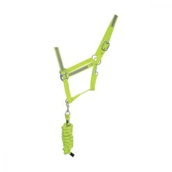 HyVIZ Reflector Head Collar & Lead Rope