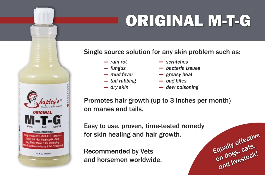 Shapley’s Original M-T-G – 946ml - Image 2