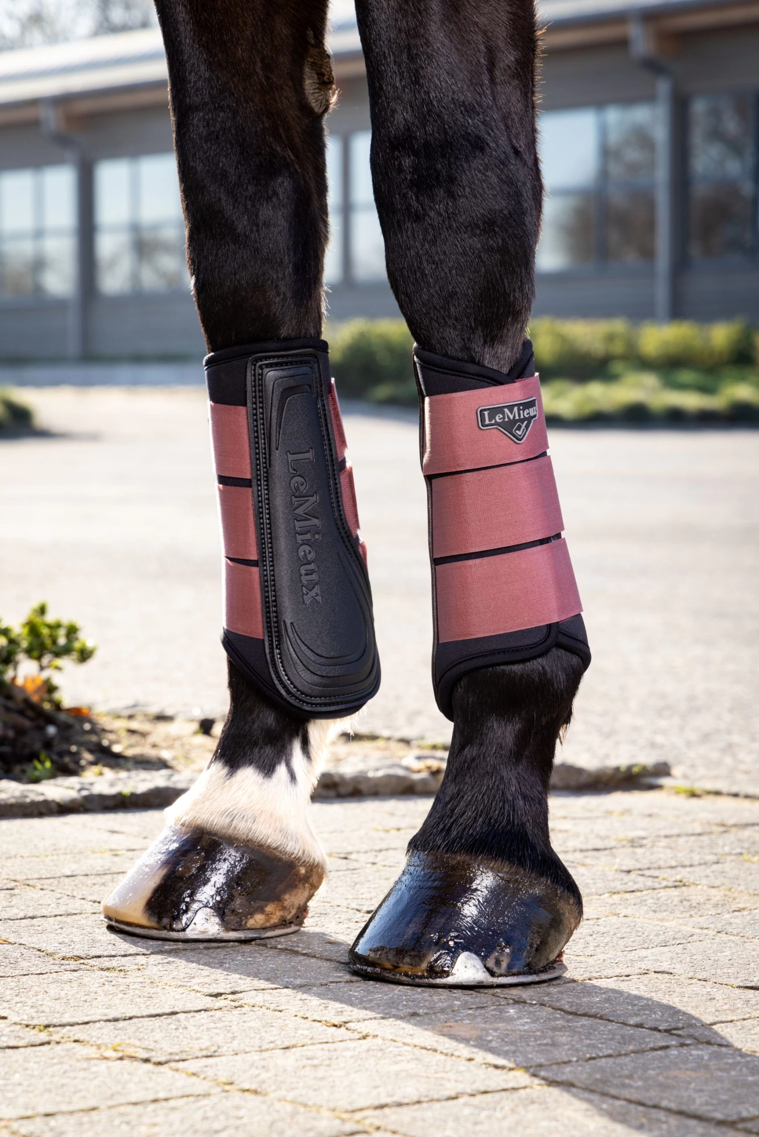 LeMieux Grafter Brushing Boots – Orchid - Image 2