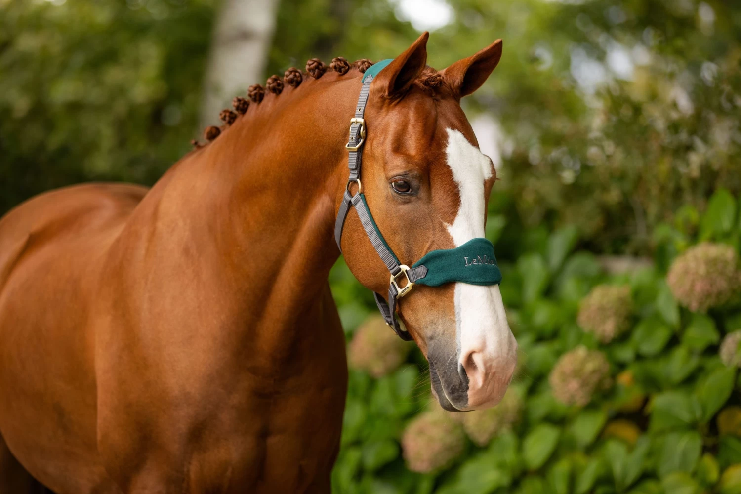 LeMieux Vogue Fleece Headcollar & Leadrope – Spruce - Image 2