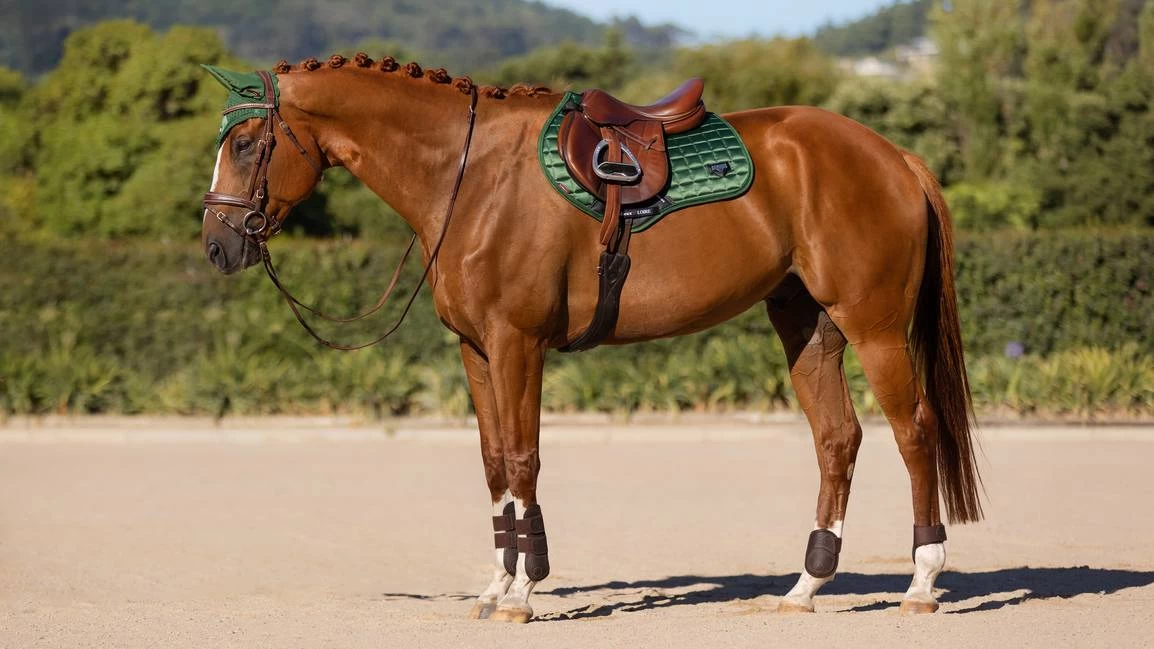 LeMieux Loire Close Contact Square – Hunter Green - Image 2