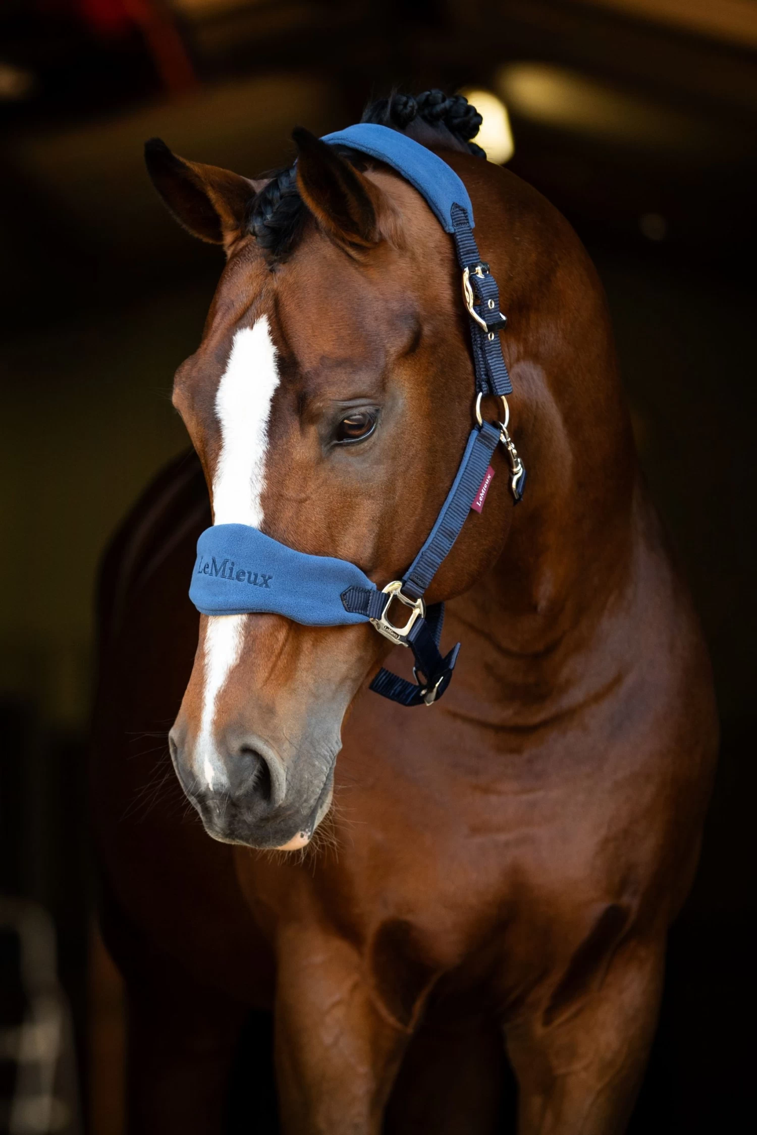 LeMieux Vogue Fleece Headcollar & Leadrope β Atlantic - Image 2